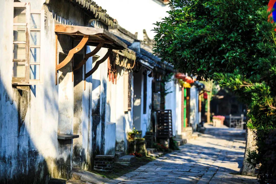 格罗亚传奇